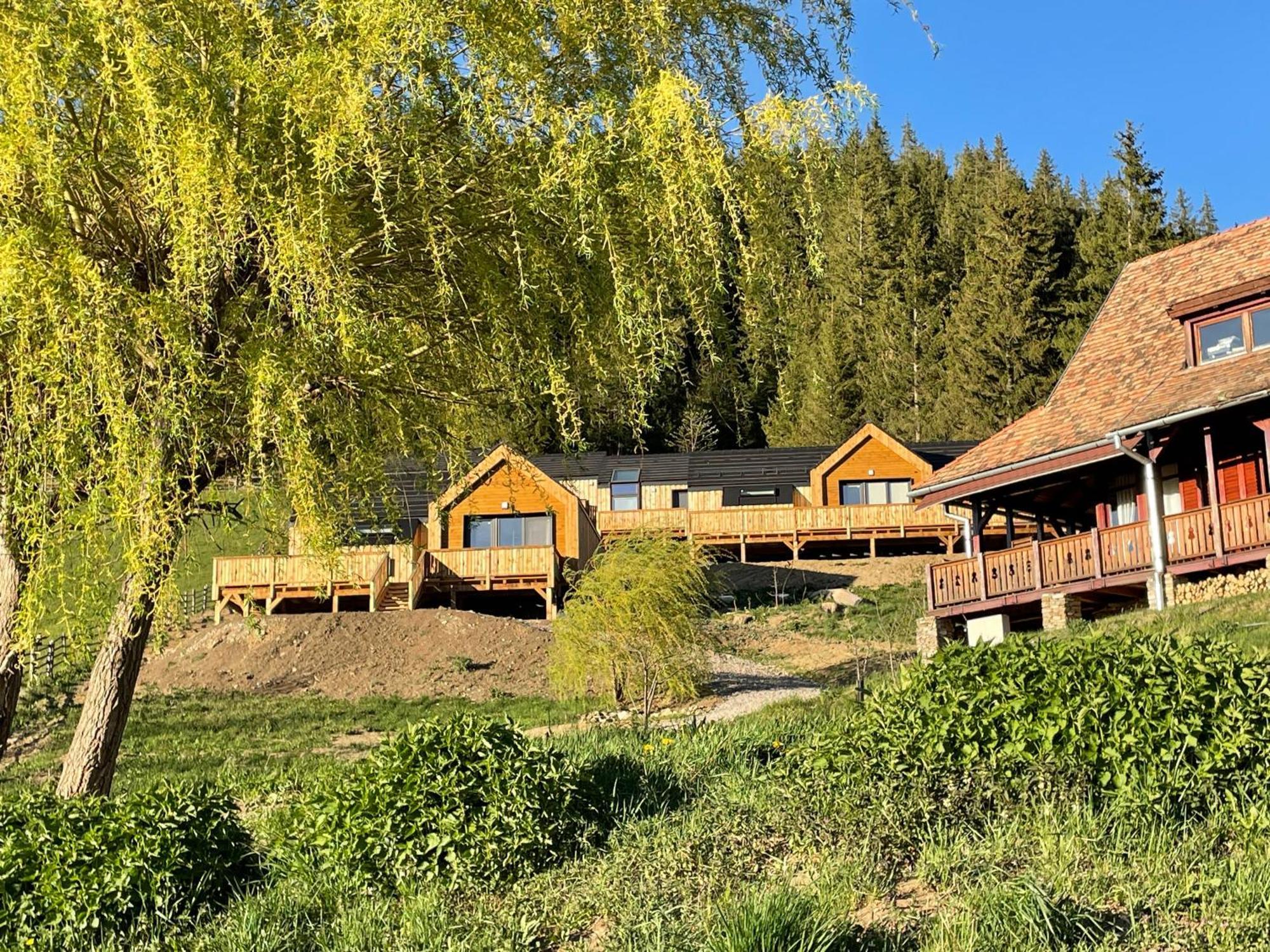 Kaliba Cabins Valea Boros Εξωτερικό φωτογραφία
